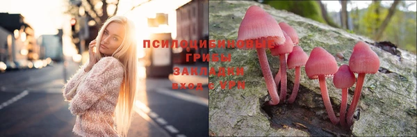 MDMA Белокуриха