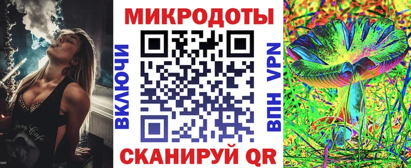 Псилоцибиновые грибы Psilocybine cubensis Горячий Ключ