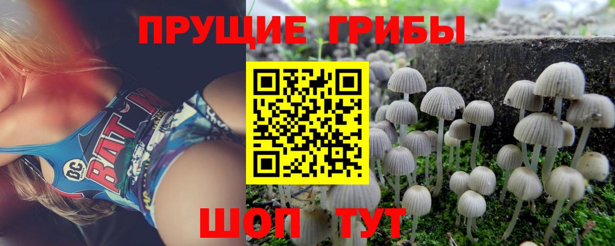 Галлюциногенные грибы GOLDEN TEACHER Горячий Ключ